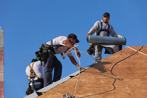 Best Commercial Roof Installation  in La Vista, NE
