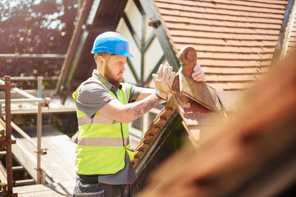 Gutter Installation and Roofing in La Vista, NE
