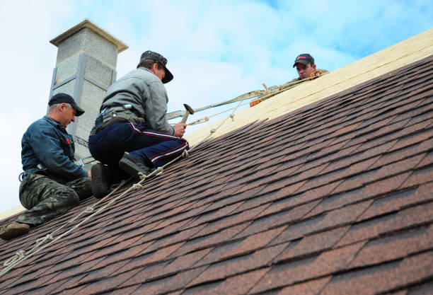 Best Emergency Roof Repair  in La Vista, NE
